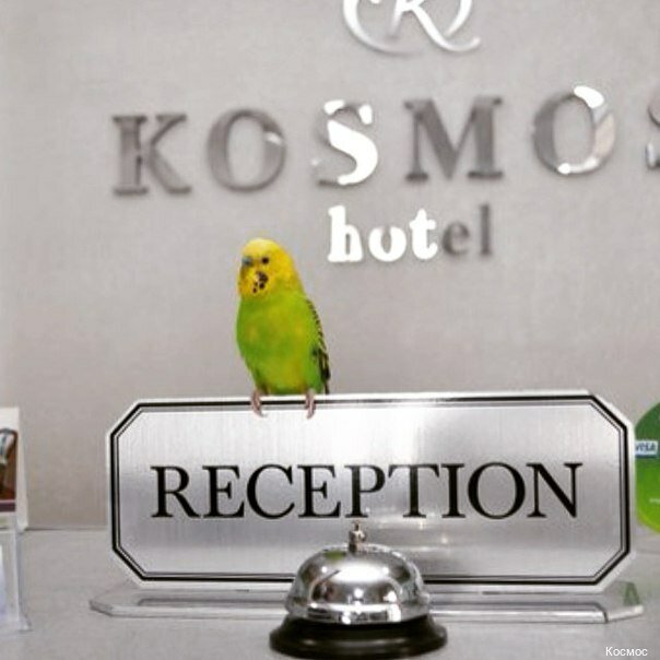 Гостиница Космос Комсомольск-на-Амуре-7