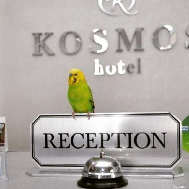 Гостиница Космос Комсомольск-на-Амуре-6